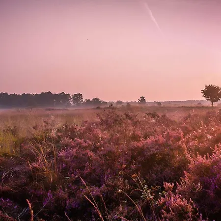6 6-persoons Familie Voorthuizen