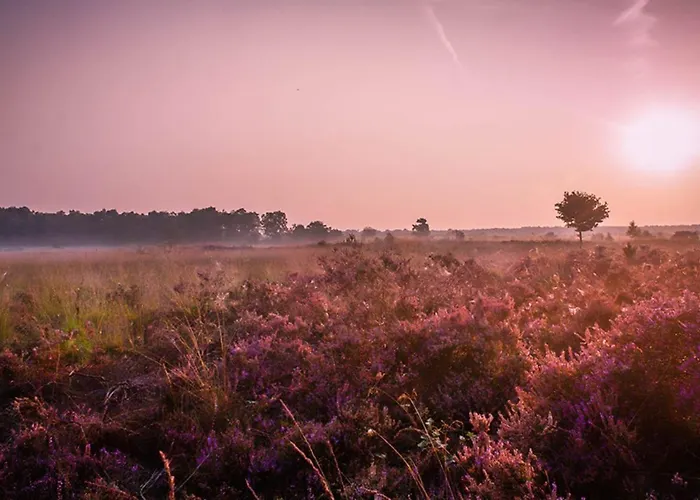 6 6-persoons Familie Вортхёйзен